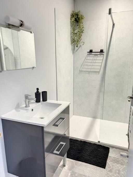 Appartement Proche Du Lac D'Allier Vichy Kültér fotó